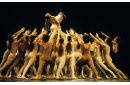 Ballet de Maurice Bejart Le rite du printemps janvier 1983