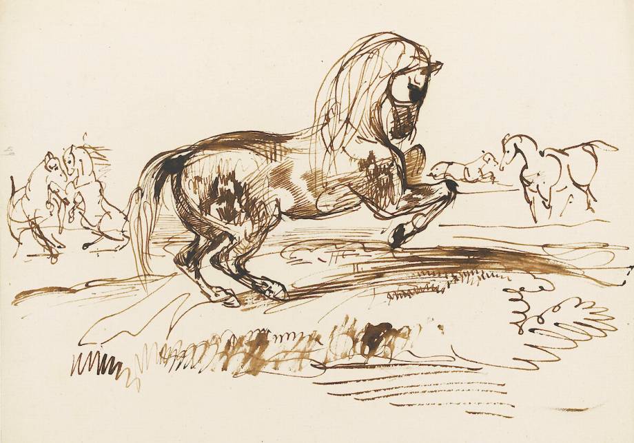 Portrait de cheval crayon DESSIN dessin au crayon noir et blanc cheval  dessin de cheval dessin de commande -  France