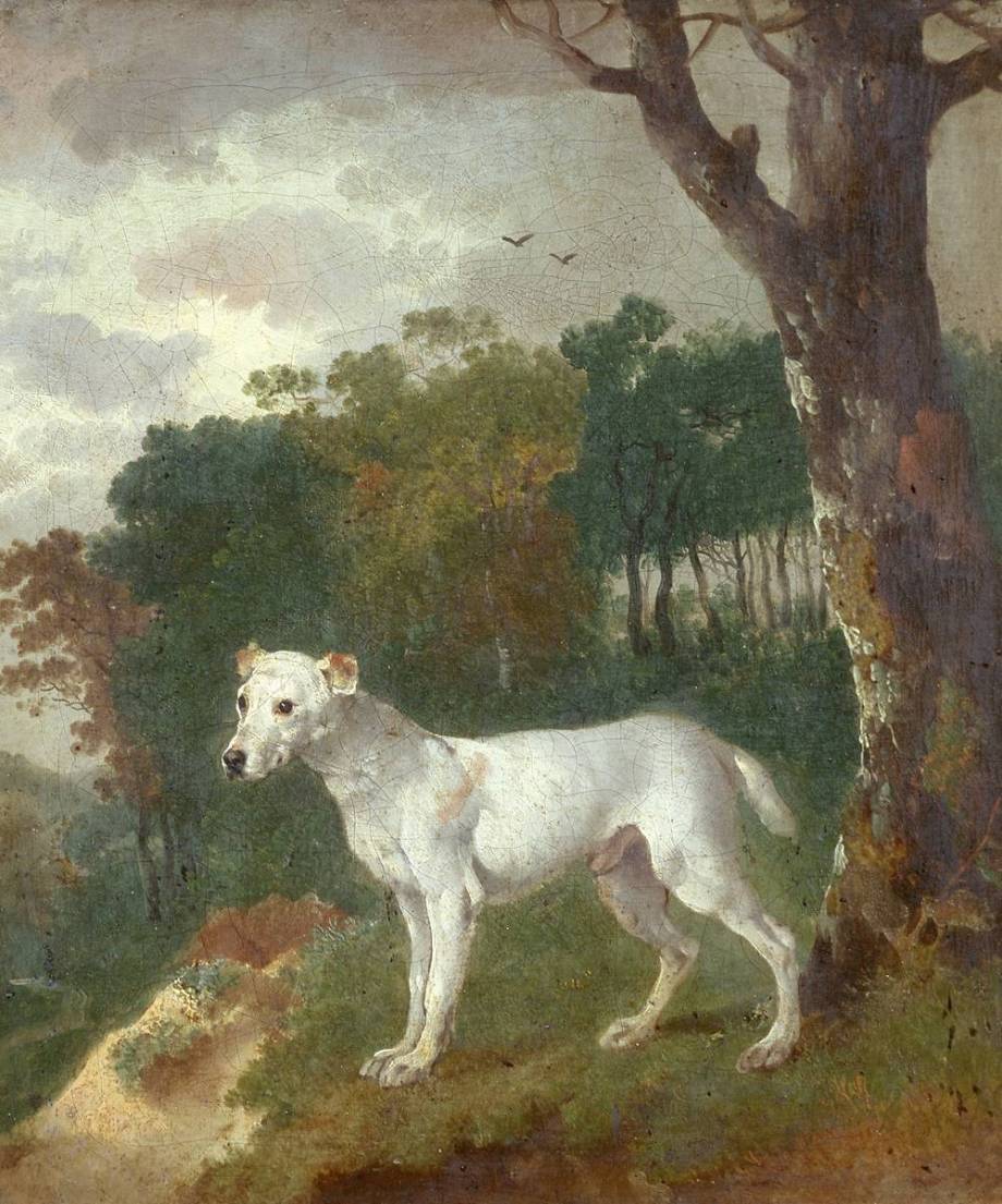 dogs, Thomas Gainsborough, Bumper – A Bull-Terrier, 1745, private collection.