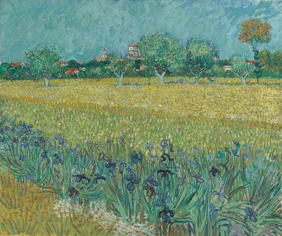 Champ de fleurs près d'Arles de Vincent van Gogh - Reproduction