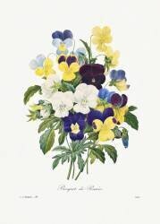 Bouquet of Pansies (Pierre Joseph Redouté) - Muzeo.com