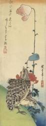 Cailles et coquelicots (Hiroshige) - Muzeo.com