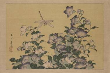 Campanule et libellule (Hokusai) - Muzeo.com
