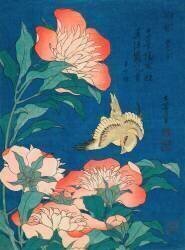 Canari et pivoines (Hokusai) - Muzeo.com