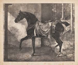 Cheval noir attaché dans une écurie (Théodore Géricault) - Muzeo.com