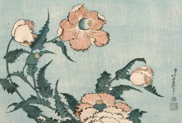 Coquelicots (Hokusai) - Muzeo.com