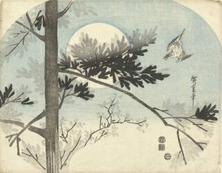 Coucou et pin (Hiroshige) - Muzeo.com
