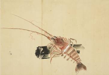 Crevette (Hokusai) - Muzeo.com