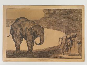 Disparate de bestia (Francisco de Goya) - Muzeo.com