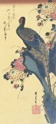 Faisan et chrysanthèmes (Hiroshige) - Muzeo.com