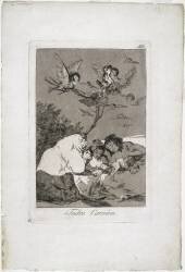 Les Caprices I : planche 19. 