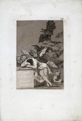 Les Caprices I : planche 43. 