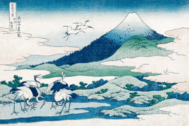 Affiche Japonaise et Impression de Geisha avec Chat pour Décoration de  Maison, Peinture sur Toile Kimono