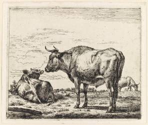 Les trois boeufs (Adriaen van de Velde) - Muzeo.com