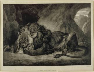 Lion de l'Atlas (Eugène Delacroix) - Muzeo.com