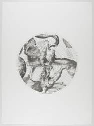 Modèle du globe céleste pour l'année 1700 par P. Coronelli : pôle septentrional (Jean-Baptiste Nolin) - Muzeo.com