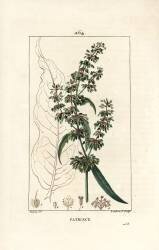 Patience (Pierre Jean Francois Turpin) - Muzeo.com