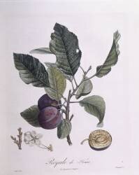 Royale de Tours (Pierre Jean Francois Turpin) - Muzeo.com