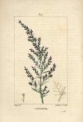 Santoline (Pierre Jean Francois Turpin) - Muzeo.com