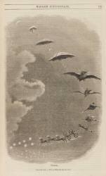 Second rêve: Une promenade dans le ciel (Grandville) - Muzeo.com