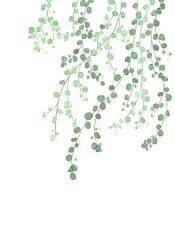 Birch Tree (1x Studio) - Muzeo.com