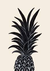 Black Pineapple (1x Studio) - Muzeo.com