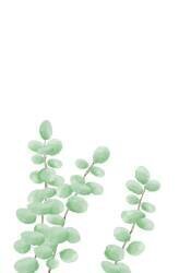 Branches (1x Studio) - Muzeo.com