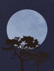 Dark Night (1x Studio) - Muzeo.com