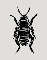 Dark scarface (Marco Campedelli) - Muzeo.com