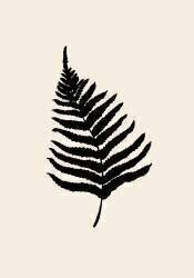 Fern (1x Studio) - Muzeo.com