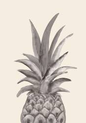 Ink Pineapple (1x Studio) - Muzeo.com