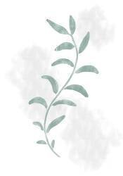 Jazzy Leaves (1x Studio II) - Muzeo.com