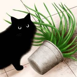 La bêtise (Léa Chounlamountry) - Muzeo.com