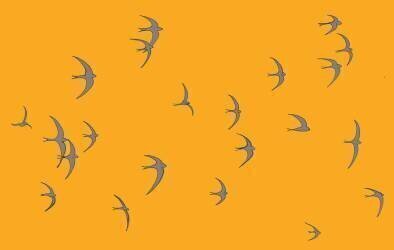 Martinets (Sarah Hough) - Muzeo.com