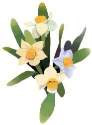 Narcissus (Hiroyuki Izutsu) - Muzeo.com