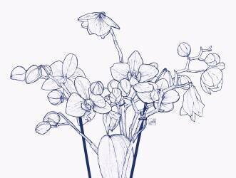 Orchidées (Léa Chounlamountry) - Muzeo.com