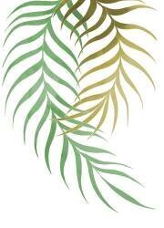 Palm Leaf (1x Studio) - Muzeo.com