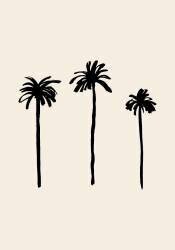 Palm Trees (1x Studio) - Muzeo.com