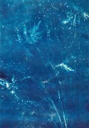 Untitled (Marco Campedelli) - Muzeo.com