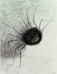 Araignée (Odilon Redon) - Muzeo.com