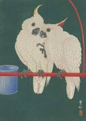Cacatoès (Ohara Koson) - Muzeo.com