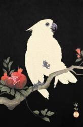 Cacatoès et grenade (Ohara Koson) - Muzeo.com