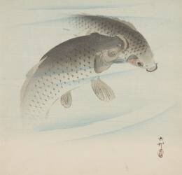 Carpes (Ohara Koson) - Muzeo.com
