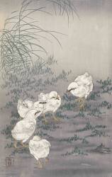 Cinq poussins (Ohara Koson) - Muzeo.com