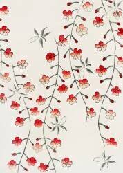 Fleur de cerisier (Watanabe Seitei) - Muzeo.com