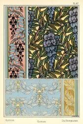 Glycine (Maurice Pillard Verneuil) - Muzeo.com