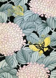 Hydrangeas and Butterflies (anonyme) - Muzeo.com