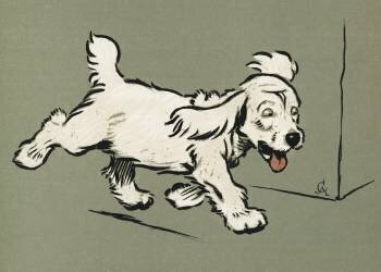 Le chiot blanc (Cecil Aldin) - Muzeo.com