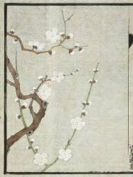 Meika jûyû (Shiseiho) - Muzeo.com