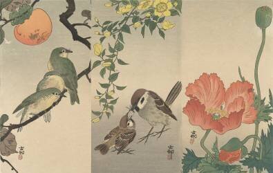 Oiseaux et plantes (Ohara Koson) - Muzeo.com